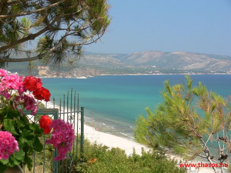 balazsh 2011